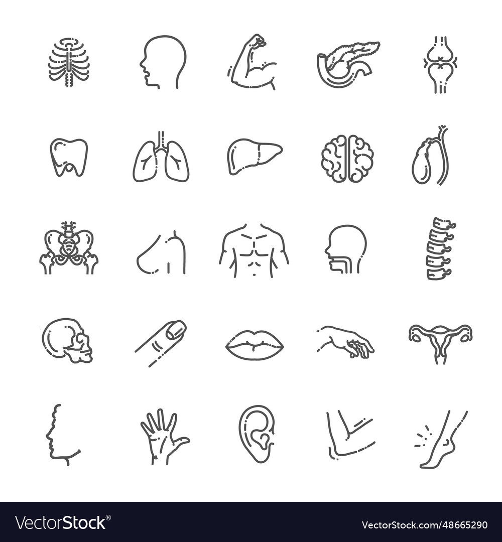 Medicine and health Royalty Free Vector Image - VectorStock