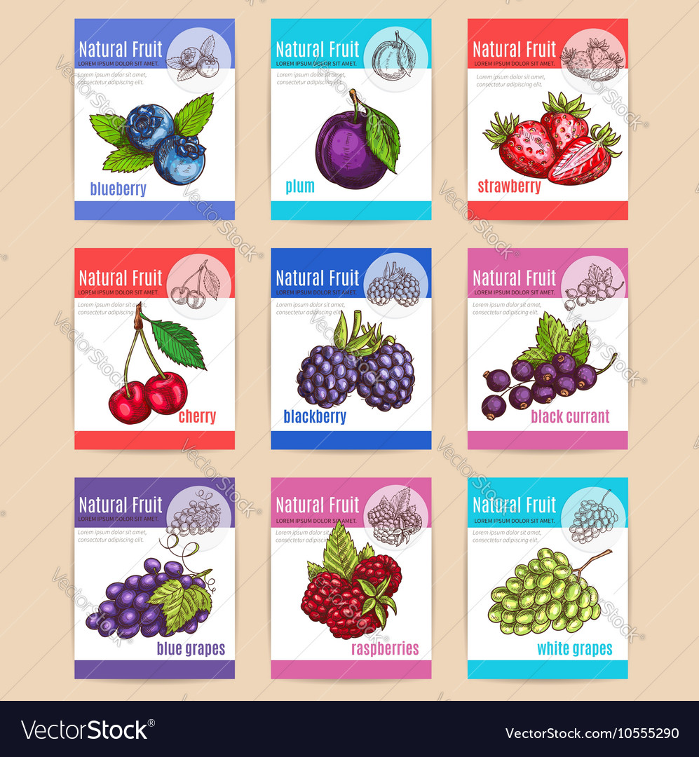 Natural fruits and berries posters Royalty Free Vector Image