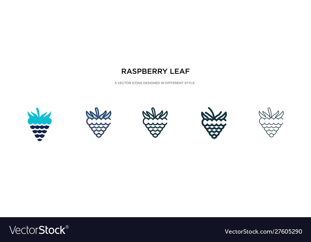 Raspberry leaf icon in different style two