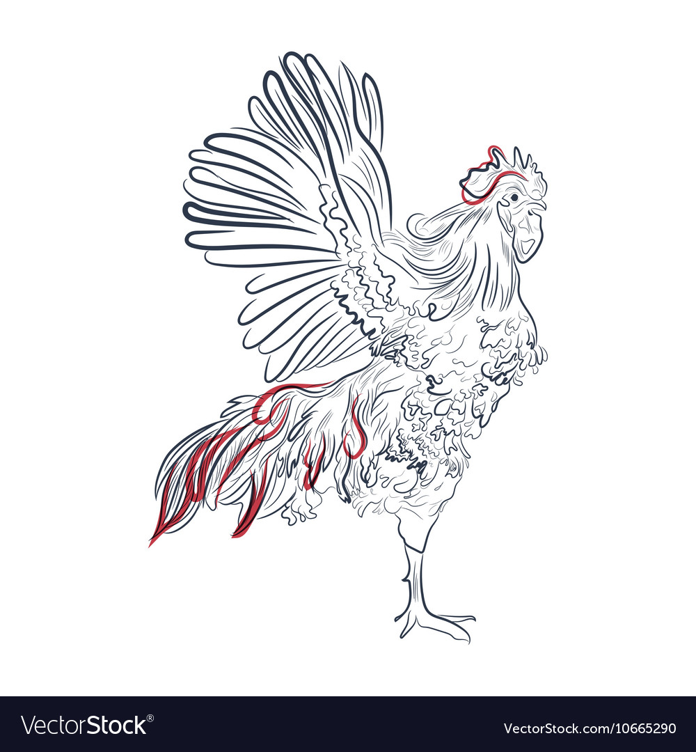 Rooster in graphic style