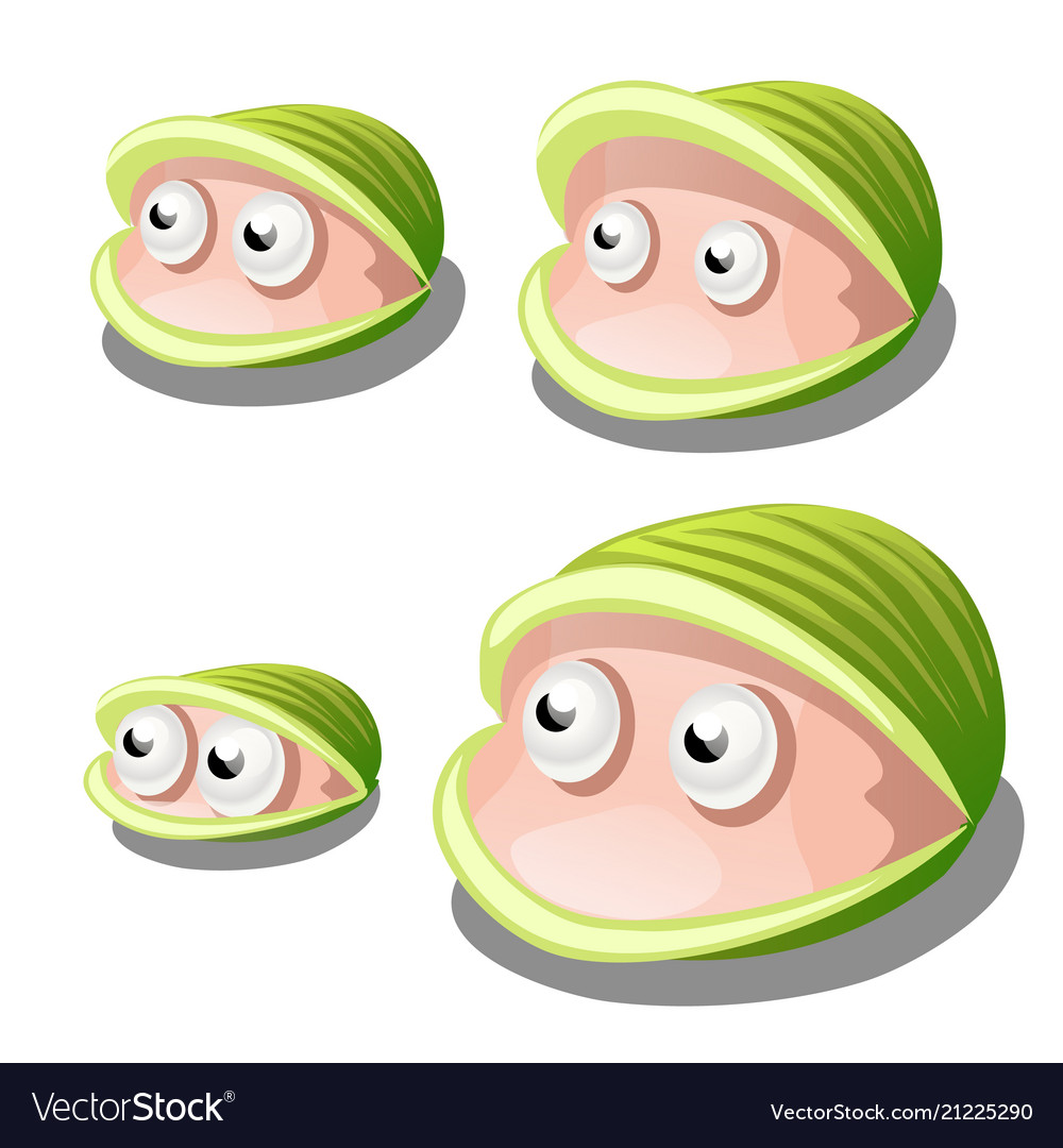 Set of cartoon bivalves shellfish with eyes Vector Image