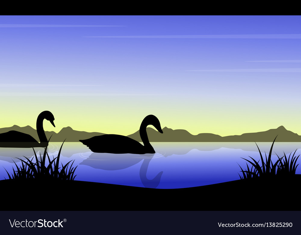 Silhouette von Schwan auf Flusslandschaft