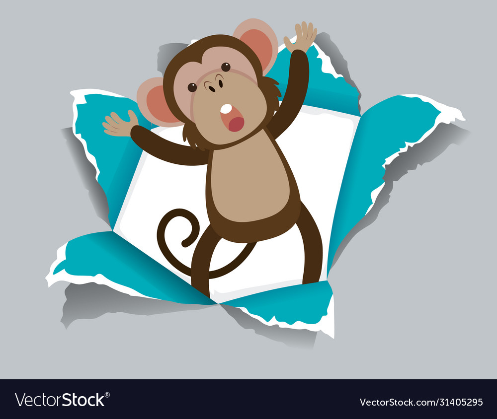 Background template design with wild monkey