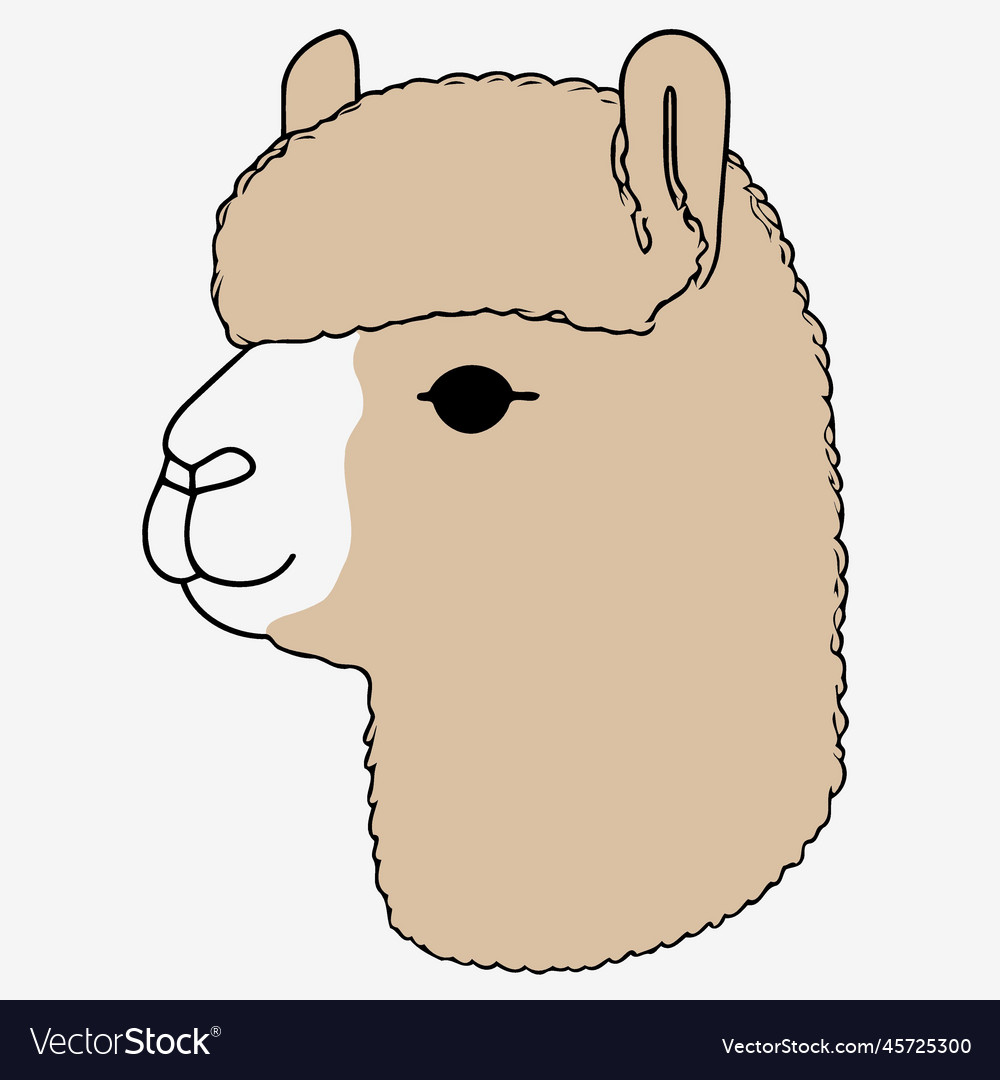 Camelid animal head called alpaca Royalty Free Vector Image