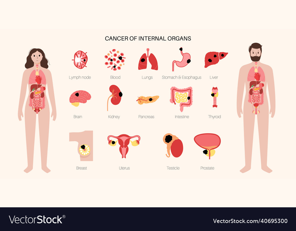 Cancer icons set Royalty Free Vector Image - VectorStock