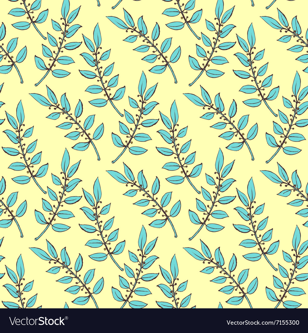 Sketch laurel branch