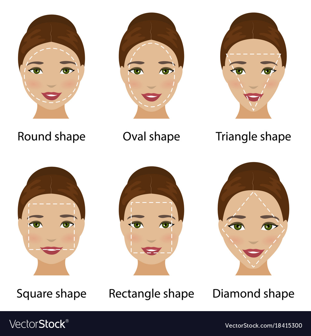 Woman face shapes Royalty Free Vector Image - VectorStock