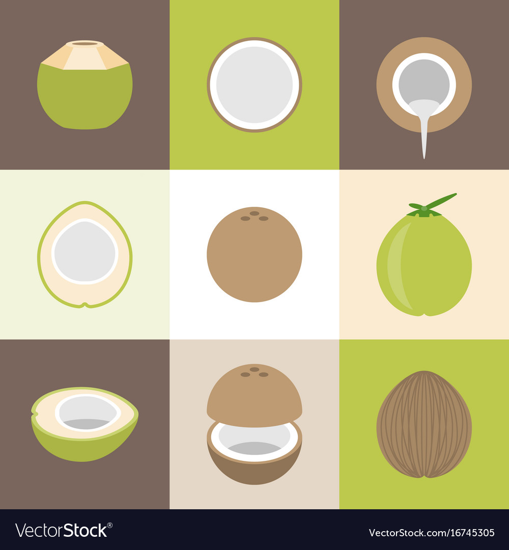 Coconut Icons Set