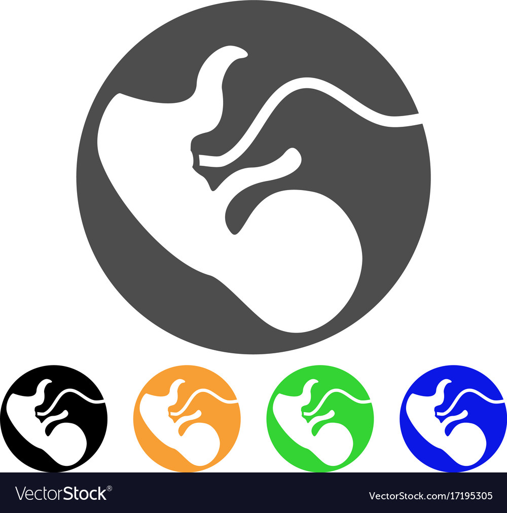 Embryo flat icon Royalty Free Vector Image - VectorStock