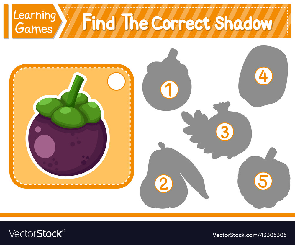 Find the correct shadow and match Royalty Free Vector Image