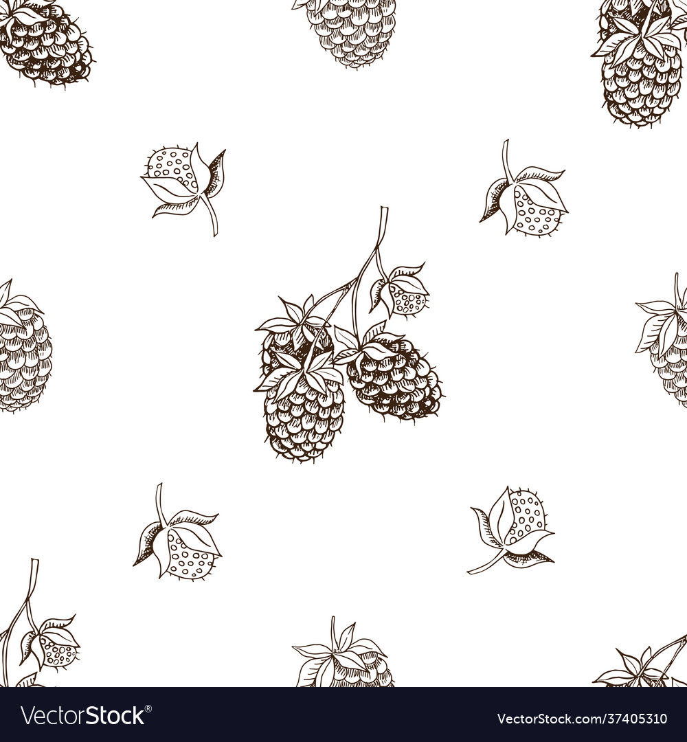 Graphic seamless pattern with raspberry