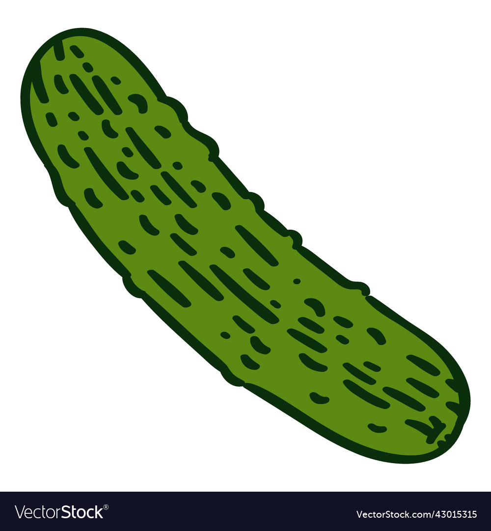 Pickle ingredient color stroke Royalty Free Vector Image