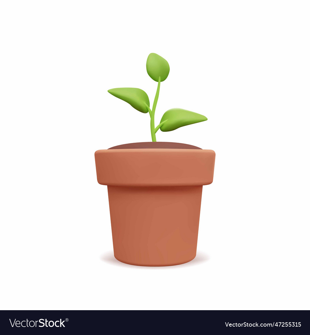 Plant with leaves in pot flower grass gardening