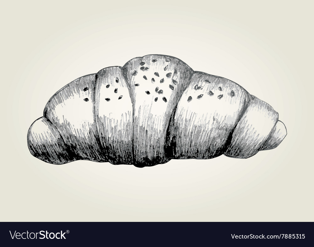 Sketch of a croissant Royalty Free Vector Image