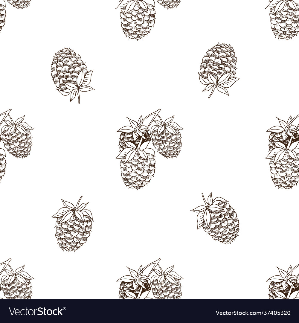 Graphic seamless pattern with raspberry vector image Graphic seamless pattern with raspberry