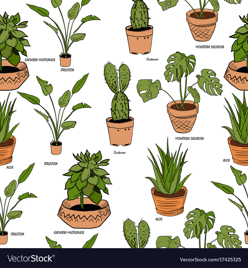 Color houseplants pattern Royalty Free Vector Image