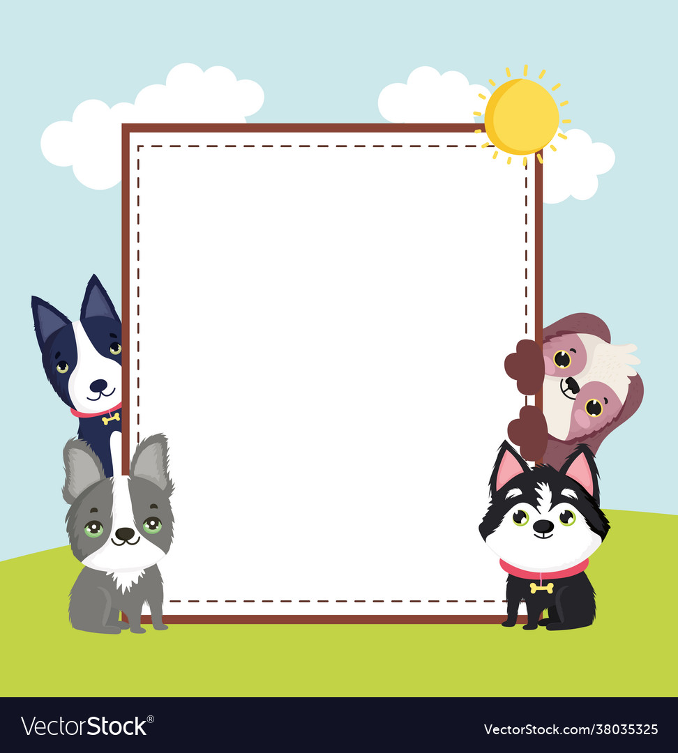 Cute pets banner Royalty Free Vector Image - VectorStock