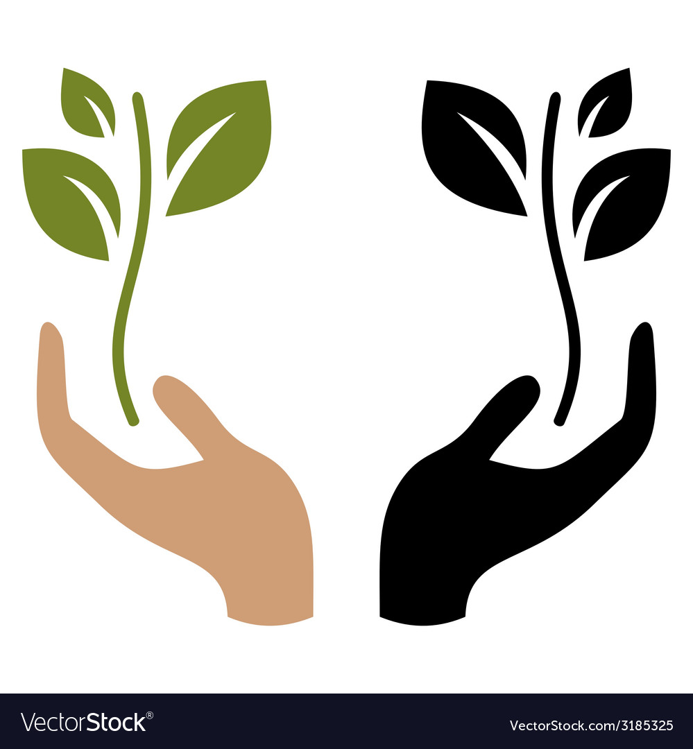 Hand Holding a Sprout