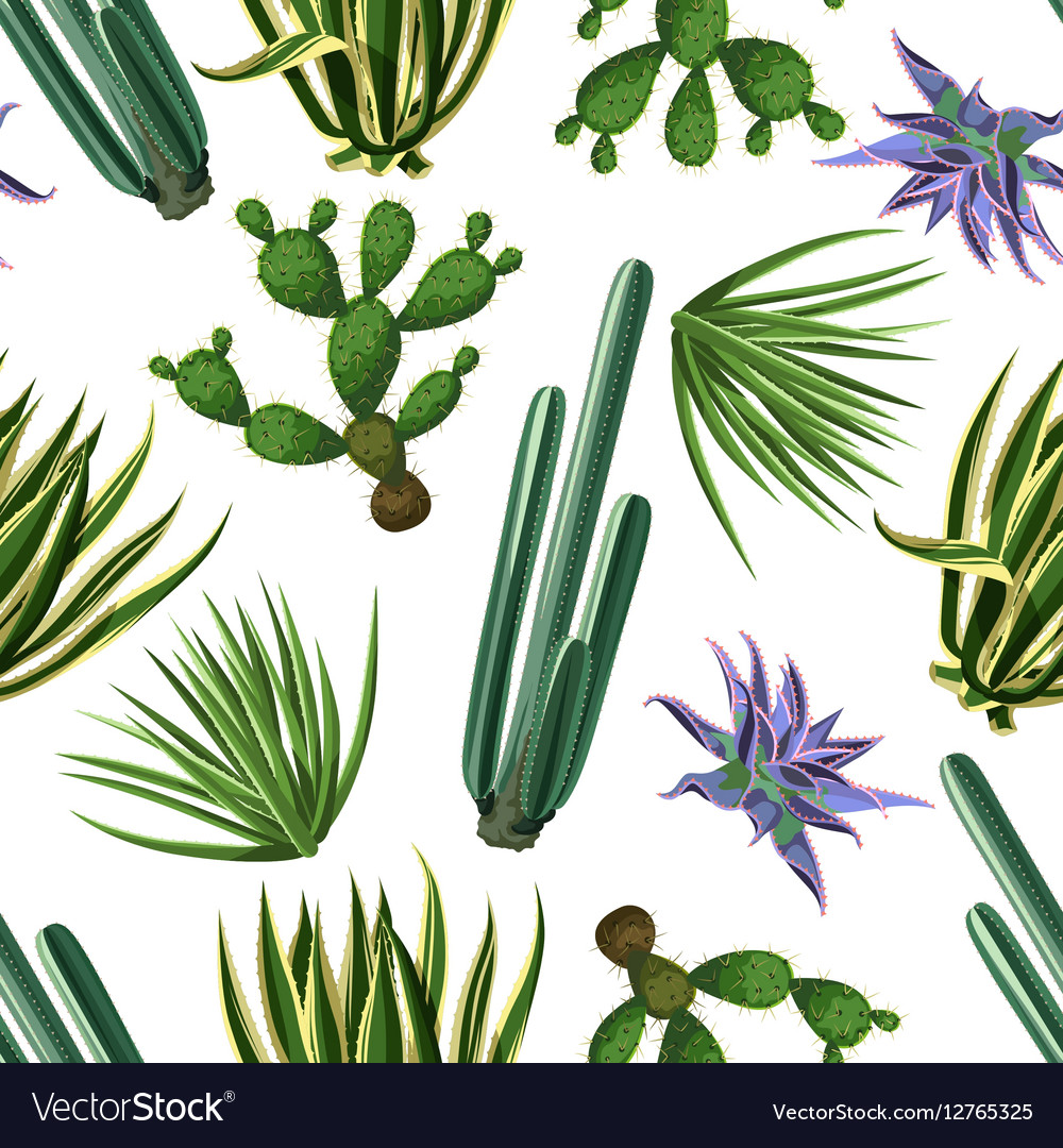 Seamless pattern with cactuses and succulents set