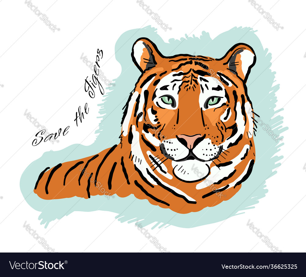 Stock Art Drawing of a Bengal Tiger