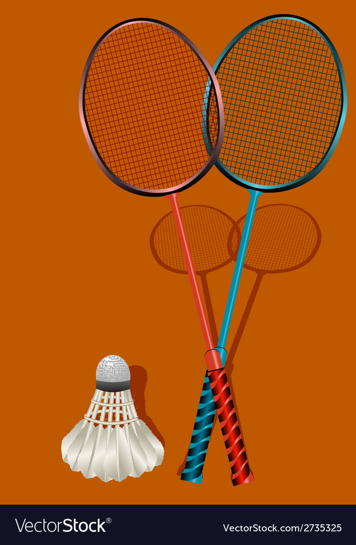 Two badminton rackets and shuttlecock Royalty Free Vector