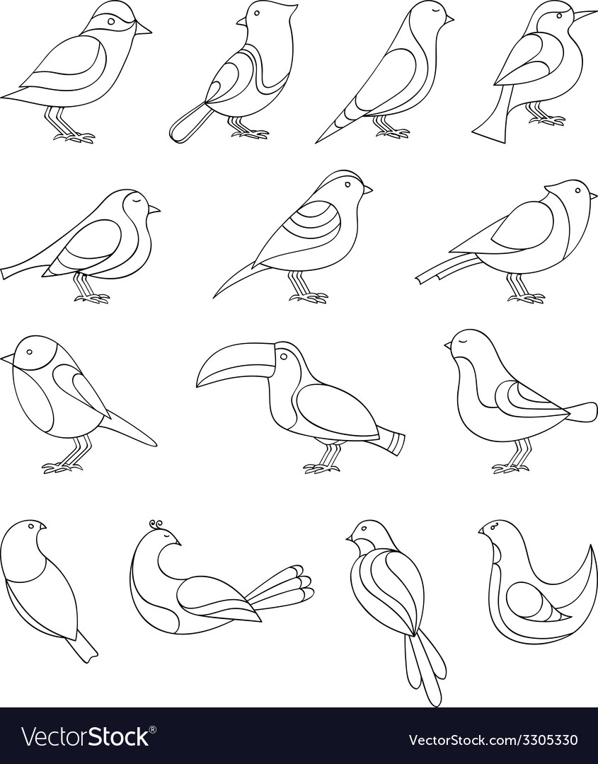 Birds set Royalty Free Vector Image - VectorStock