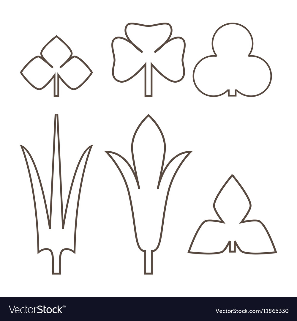 Decorative outline leaves icons set isolated black