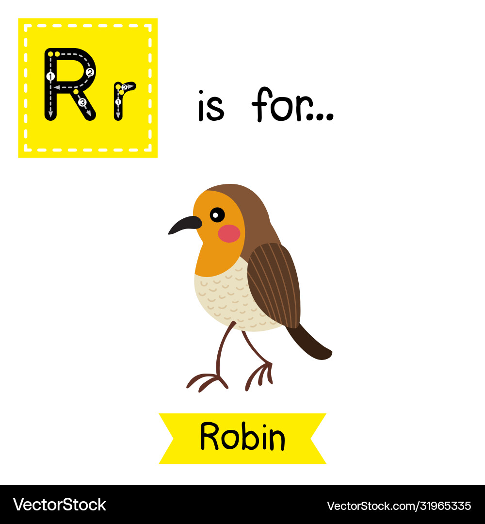 Letter r tracing walking robin bird Royalty Free Vector