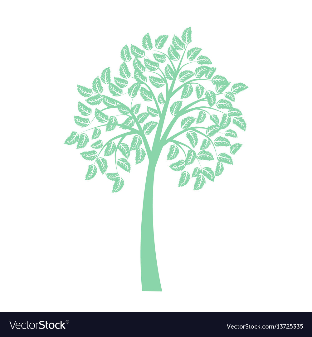 Tree vector image Tree