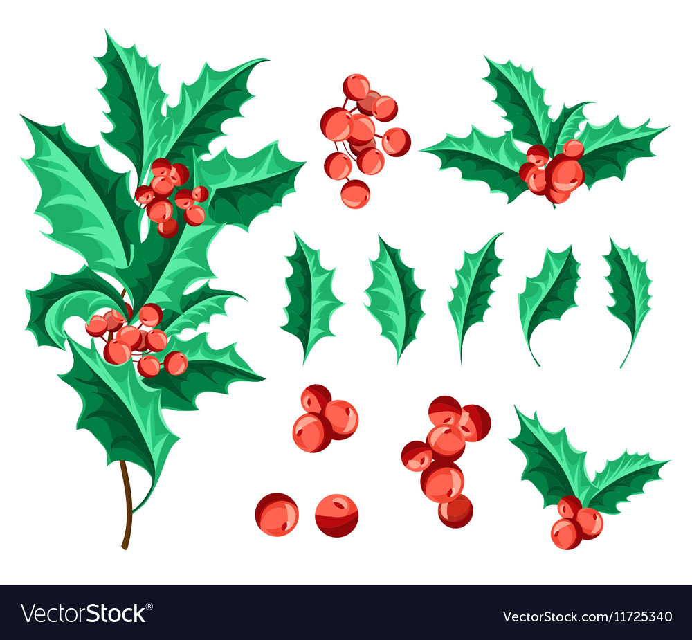 Weihnachten holly berry set