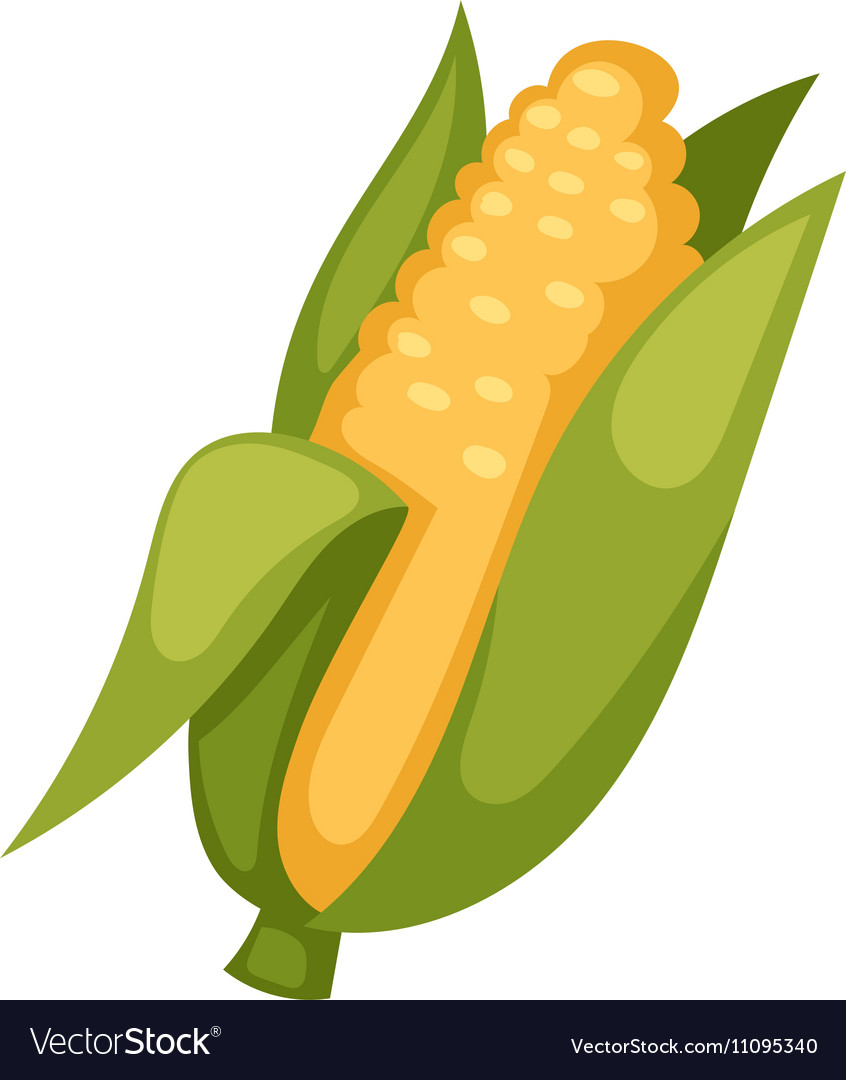 Corn