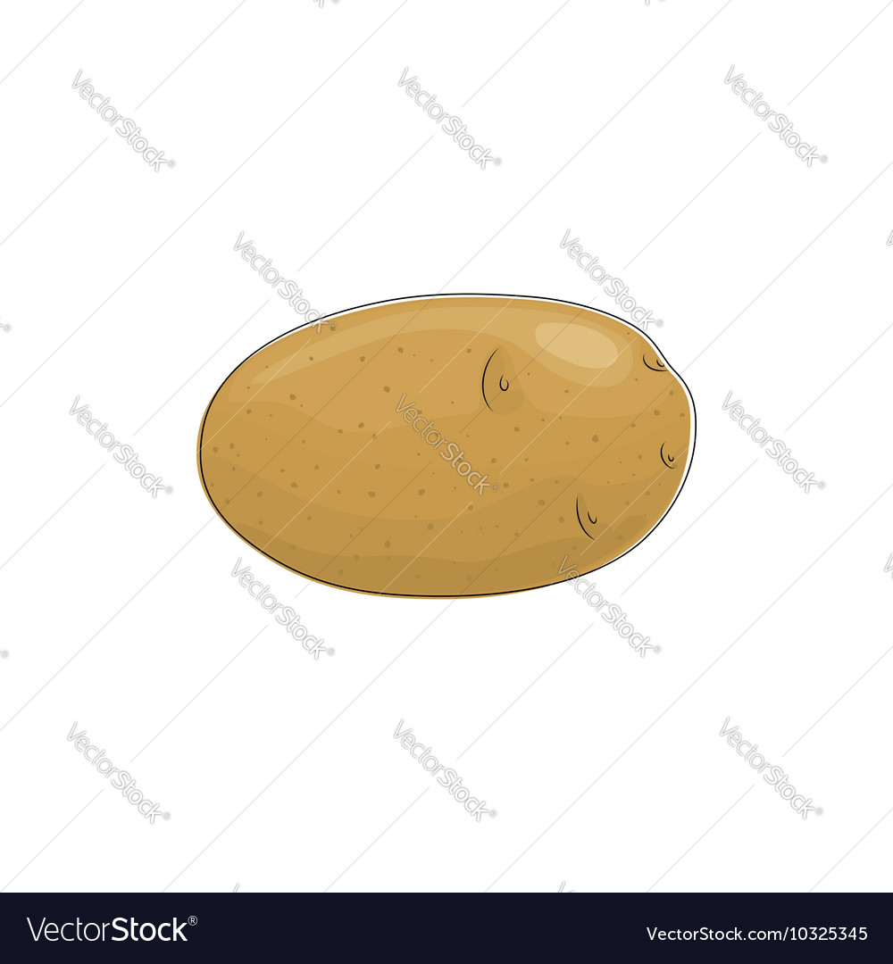 Potato isolated on white background