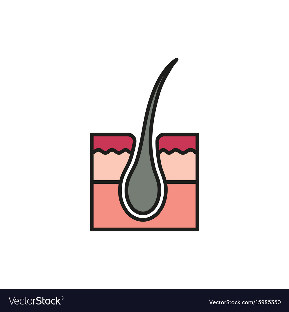 Hair Follicle Treatment On White Background Vector Image