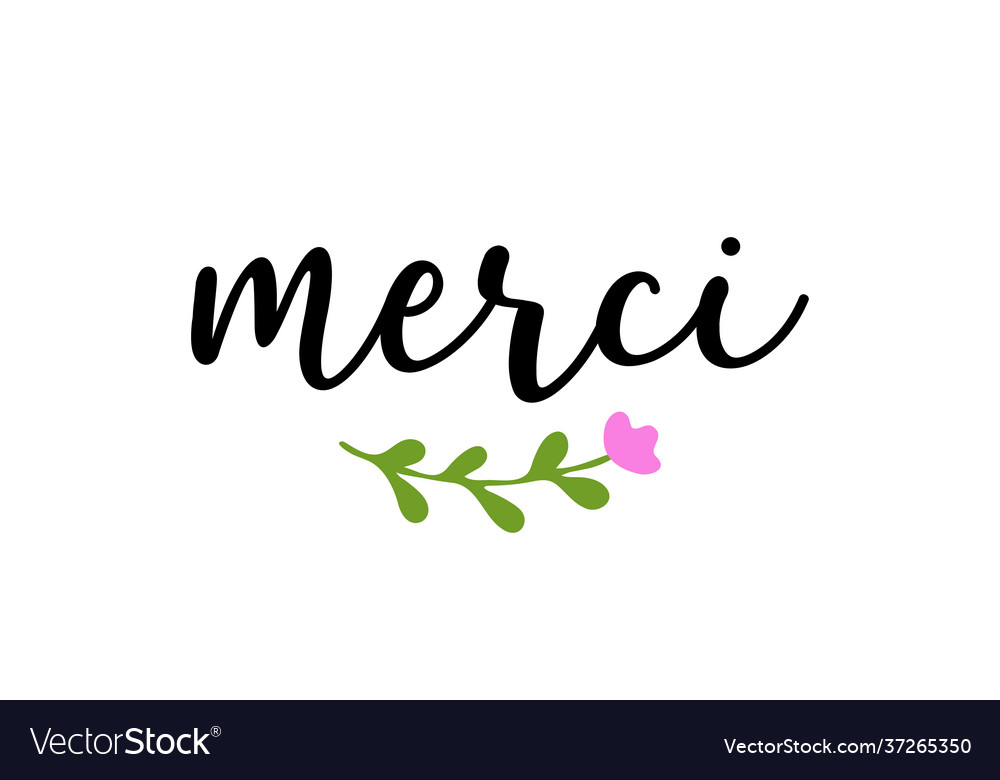 Hand sketched merci quote in french as logo Vector Image