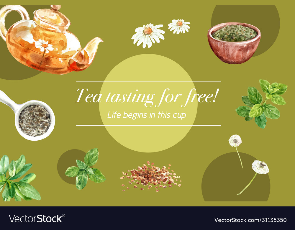 Herbal tea frame design with chamomile mint