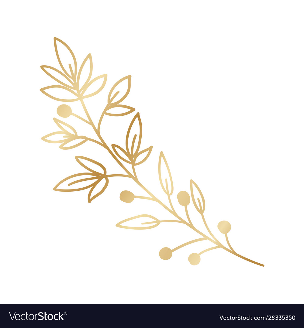 Isolated gold leaf plant design Royalty Free Vector Image