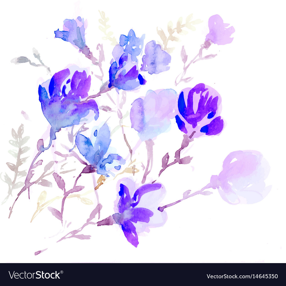 Watercolors Colorful Flowers Royalty Free Vector Image