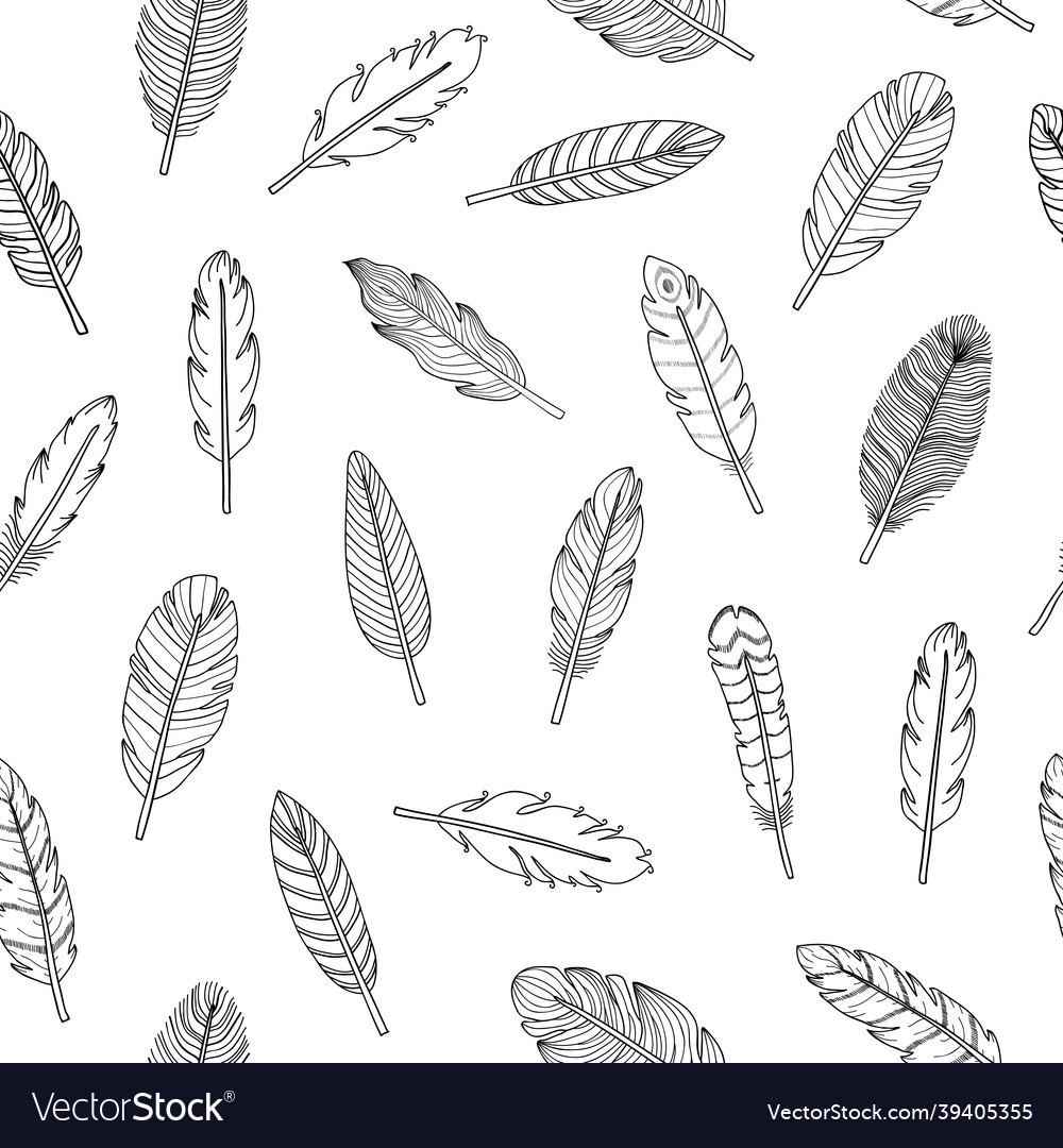 Seamless pattern with boho feathers vector image Seamless pattern with boho feathers
