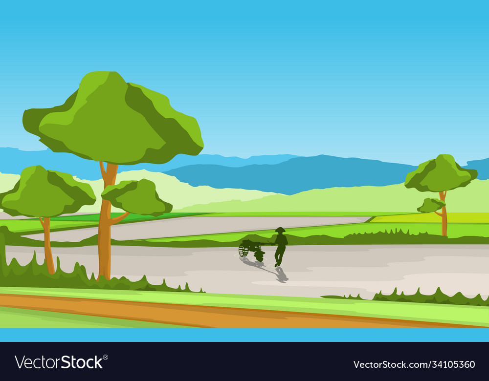Asian farmer cultivating rice field paddy Vector Image