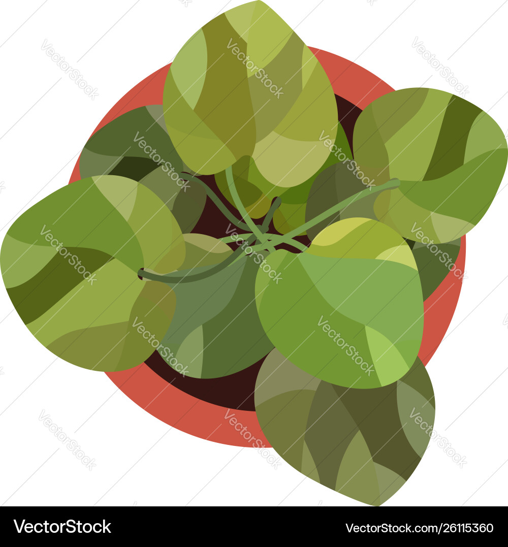 Top view green plants easy copy paste in your Vector Image