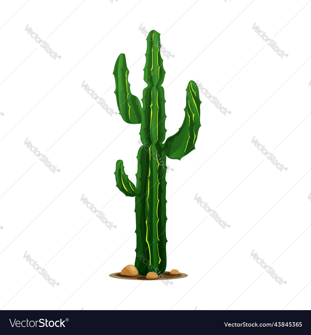 Elephant cactus mexican giant cardon isolated Vector Image
