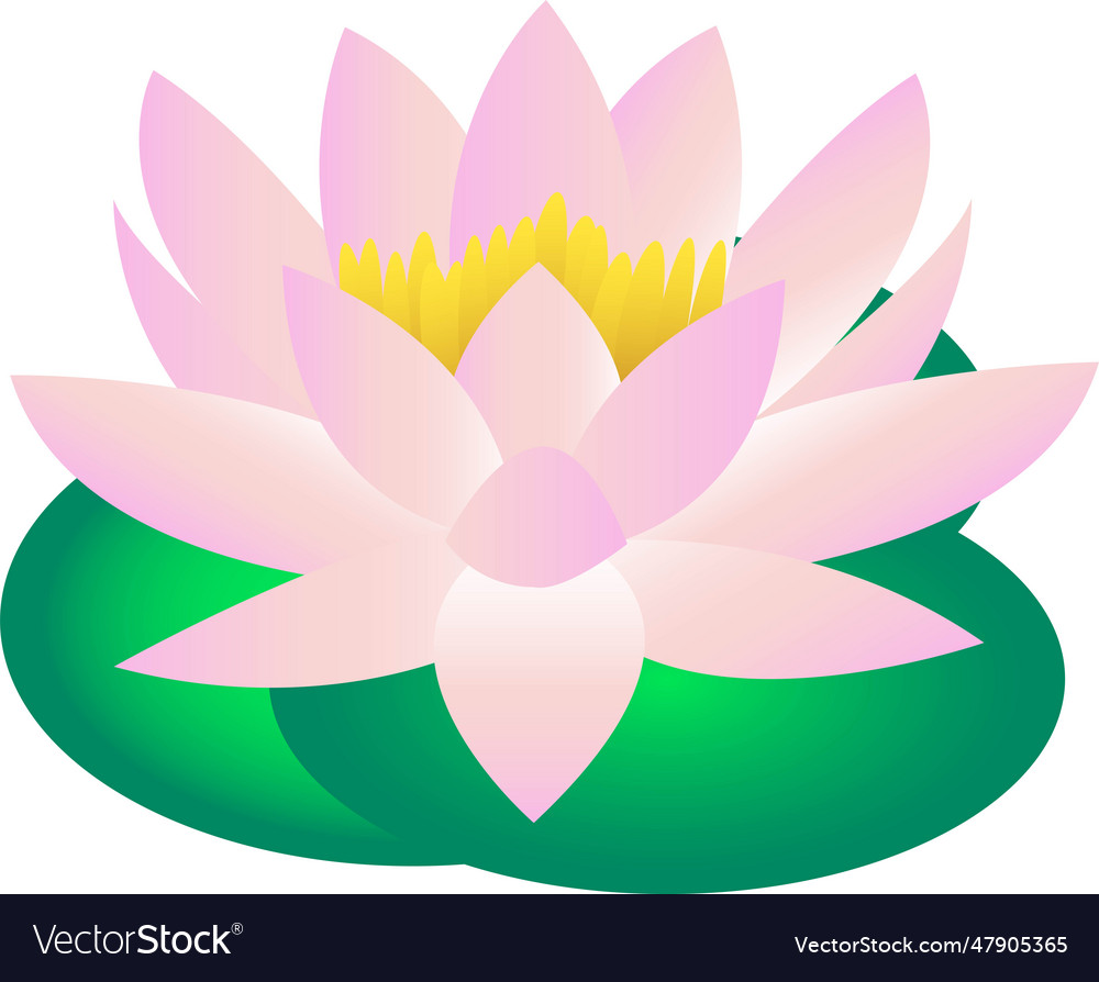 Lotus Flower Royalty Free Vector Image Vectorstock 9095