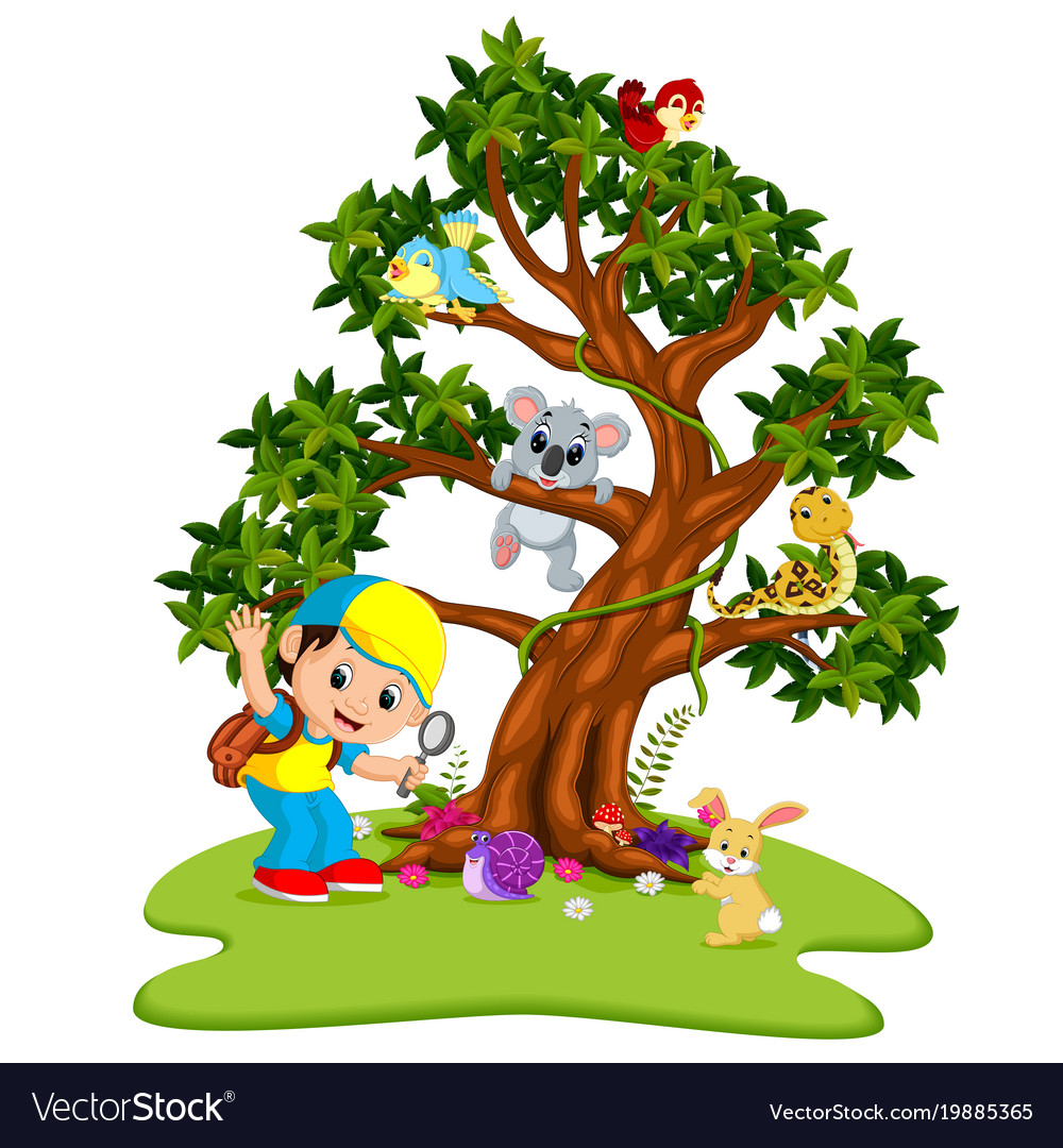 Many Animals On Trees With Boys Royalty Free Vector Image many-animals-on-trees-with-boys-royalty-free-vector-image