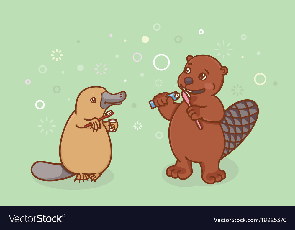 Beaver and the platypus are brushing