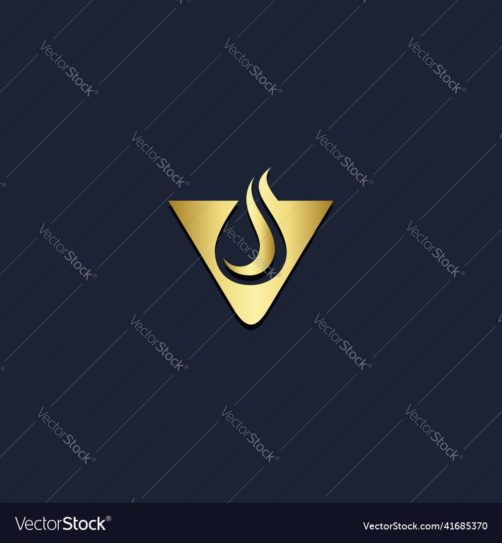 Droplet water triangle gold logo Royalty Free Vector Image