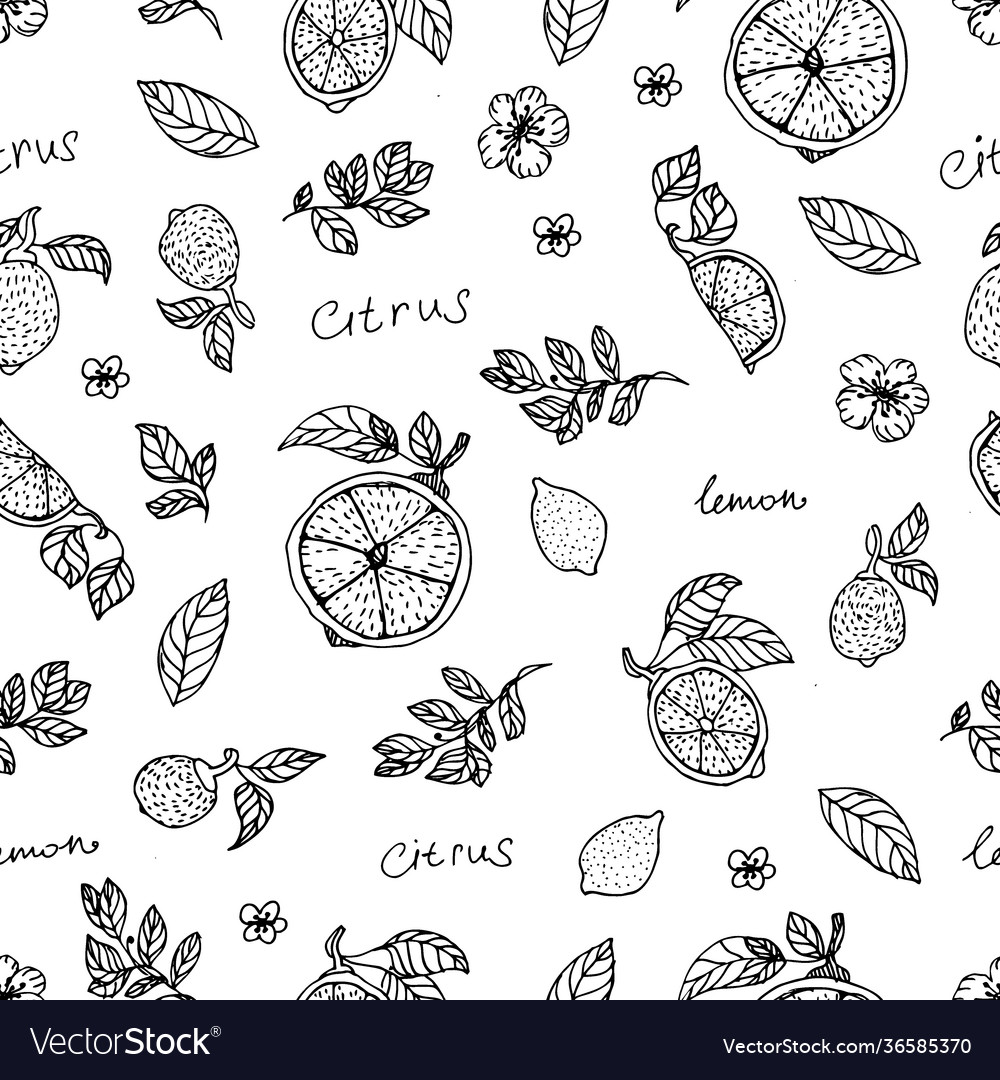 Lemon hand draw seamless pattern background