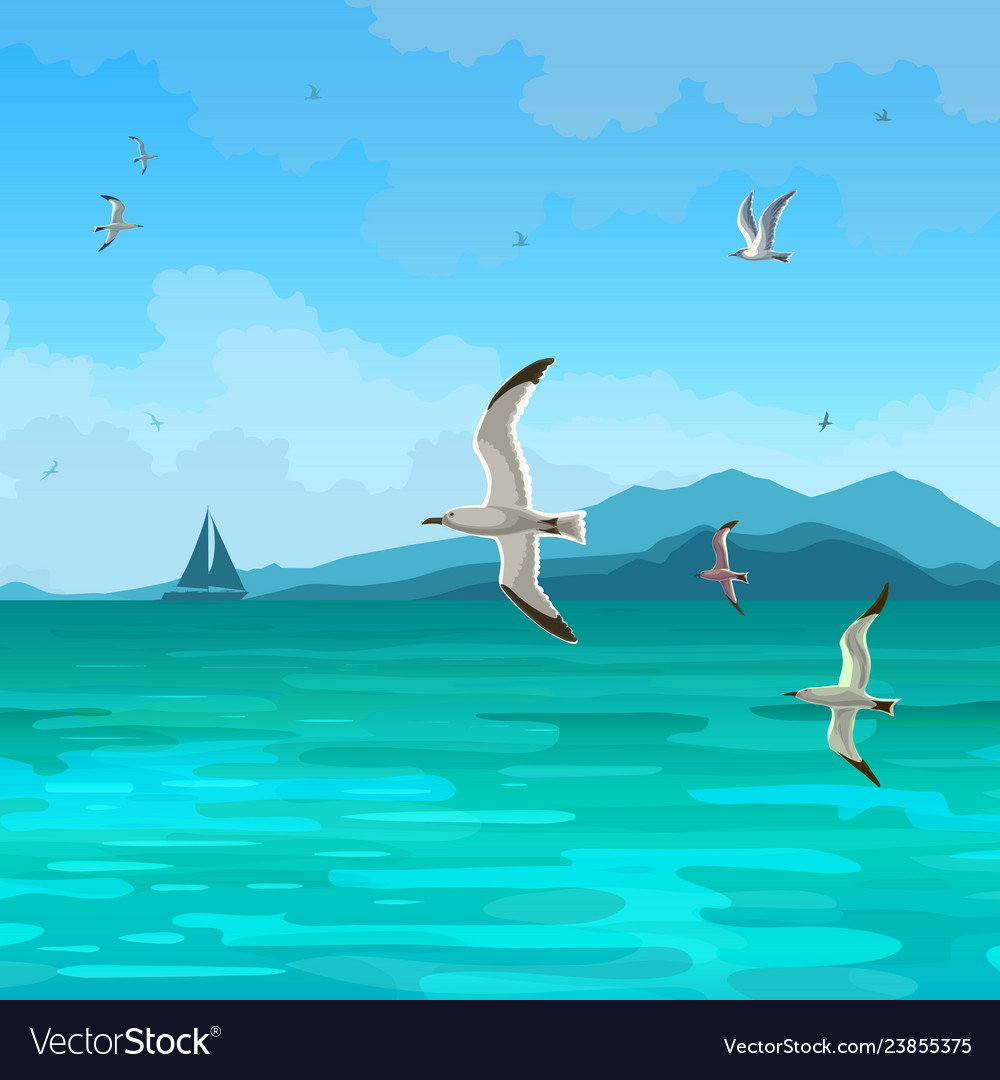 Sea gulls Royalty Free Vector Image - VectorStock