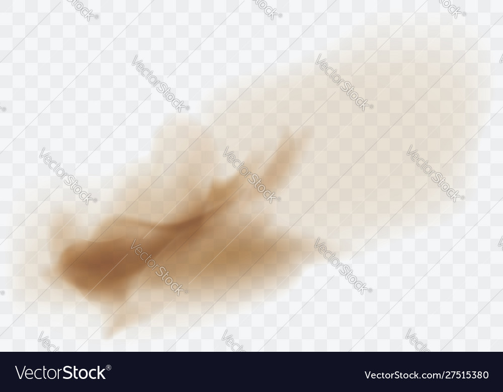 Desert Sandstorm Brown Dusty Cloud On Transparent Vector Image