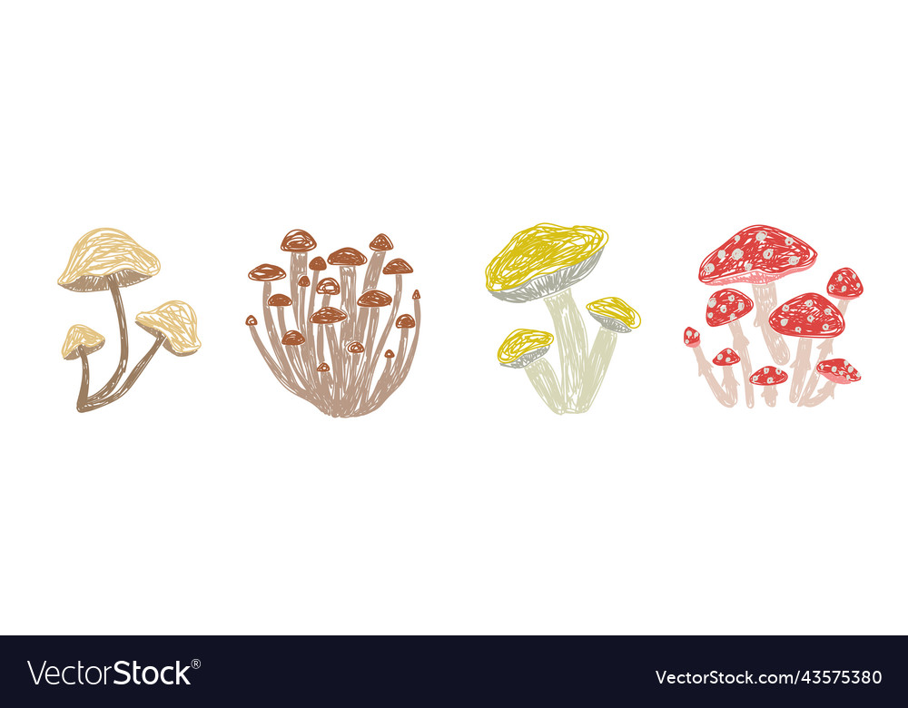 Mushrooms set hand drawn pen Royalty Free Vector Image