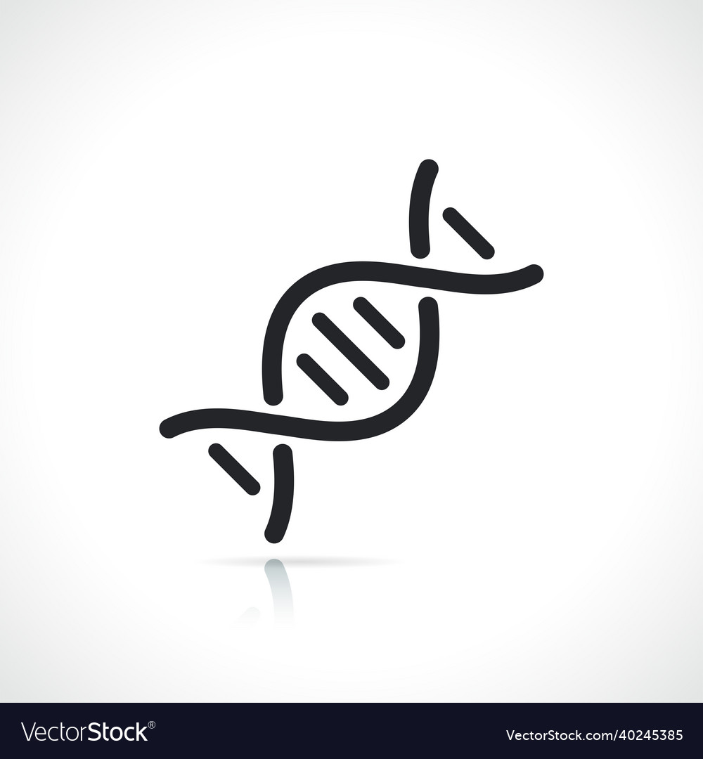 Dna or chromosome line icon Royalty Free Vector Image